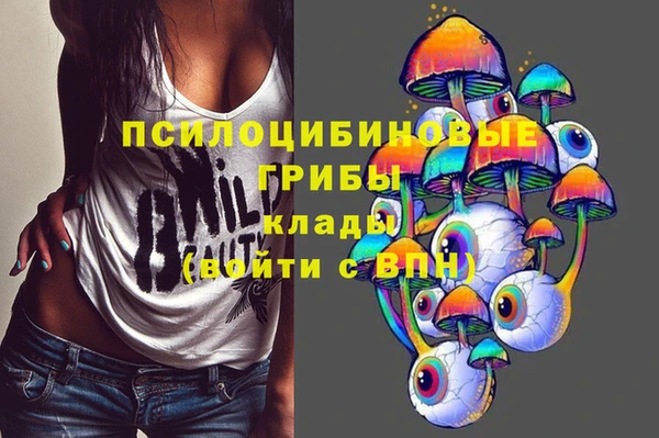 бошки Лагань