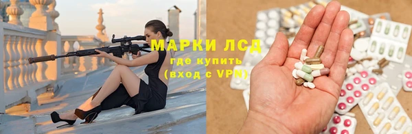 стаф Медвежьегорск