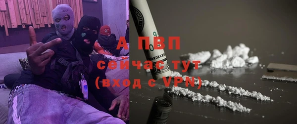 мдпв Богородицк